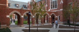 education market