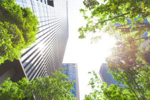 sustainability consulting