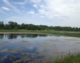 Hernando Lagoon Reclamation