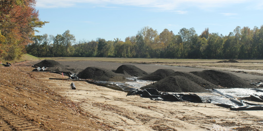 Hernando Lagoon Reclamation